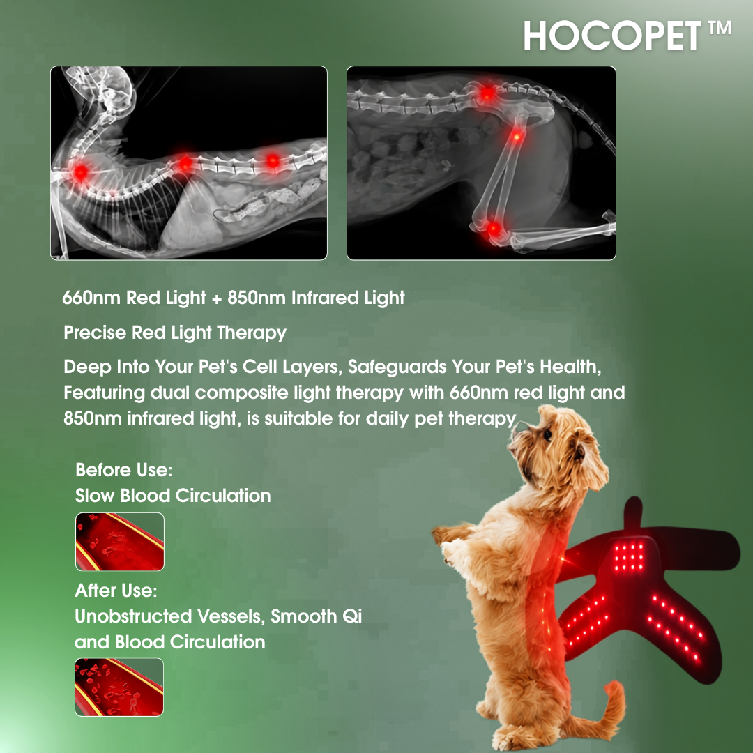 Hocopet™ Red Light Sleeve