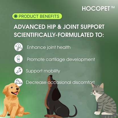 FIGHT HIP & JOINT PAIN – RESTORE MOBILITY & COMFORT!